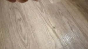Karcher FC 5 Premium. Распаковка и эксплуатация.