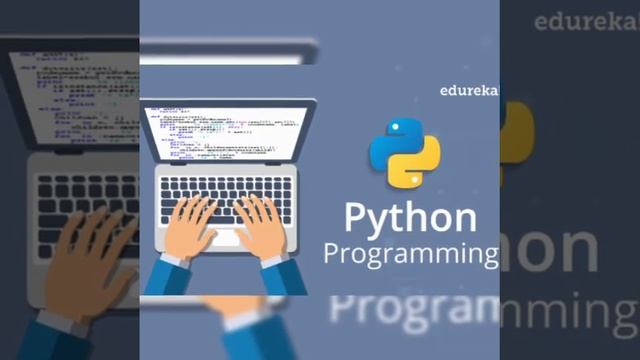 Working with python interpreter-script mode