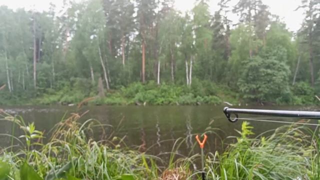 Вечерняя рыбалка , вначале прикормили наших карасей что бы на следующей рыбалке улов был огонь.