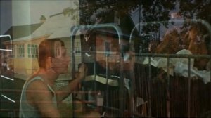 Прощай, Германия, прощай сосновый лес!