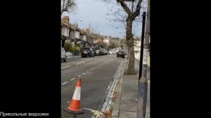 прикольные видосики #8