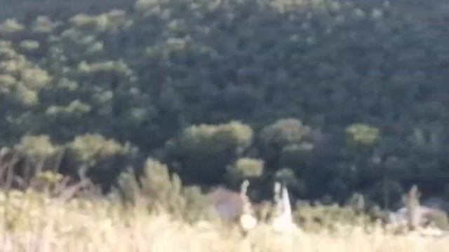 Крым, красота, голубое озеро, Скалистое, отдых, летоооо?????️ смотреть онлайн