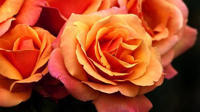 Слушать новую русскую музыку для автомобиля онлайн