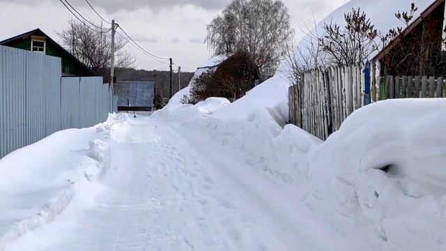 Дачи и земельные участки Новосибирска. Сколько стоят в 2023 году и стоит ли вообще их покупать.