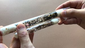 НАЧИНАЮ С ЧИСТОГО ЛИСТА. САМЫЕ БОЛЬШИЕ И САМЫЕ ЯРКИЕ ЖНЕЦЫ