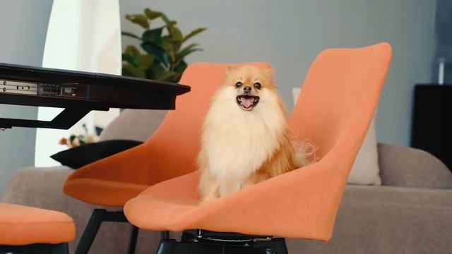 Стол Сохо и стулья Толедо. Сочетание лаконичной геометрии, функциональности и надежности. смотреть онлайн