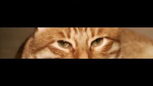 Ты что-то забыл здесь петушок ? :-D (feat.Thebrainmaps)