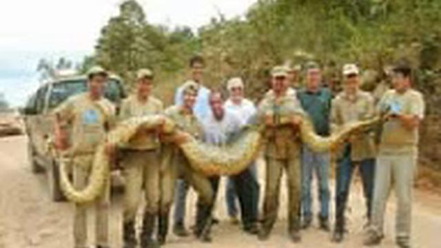 Allahu dua.. смотреть онлайн