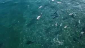 7 чудес Хабаровского края.