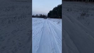 ФРОНТ 3 ПАРЫ СИЛЬВЕСТРОВ AP-M61SE