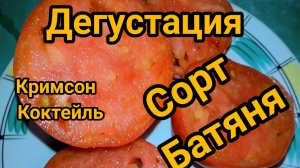 Дегустация. Какой томат слаще