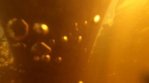 Dancing Boat - Танцующий катер 2 - 2021-06-20