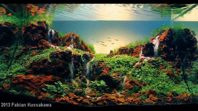 САМЫЕ КРАСИВЫЕ АКВАРИУМЫ.