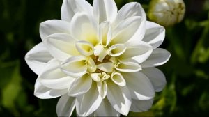 Nikon Z50 With Nikkor Z DX 50-250mm f/4.5-6.3 VR | Sample Photos