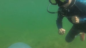 Аквалангисты это не игра.