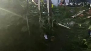 Профнастил на крышу. для бани !
