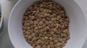 ВОЛШЕБНЫЙ СУП из ЧЕЧЕВИЦЫ + Как готовить цветную чечевицу.