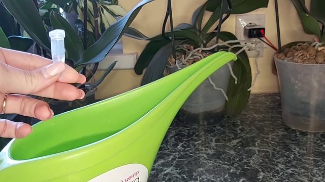 Отличный АНТИСТРЕСОВЫЙ коктейль для ОРХИДЕЙ от переезда и переохлажнения/ Важно знать! смотреть онлайн