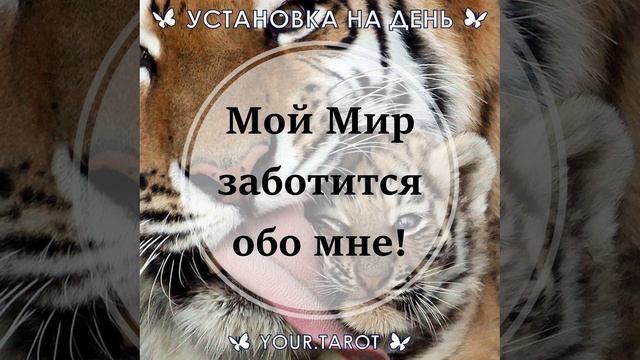 Установка на день. 25 Апреля хорошего дня.