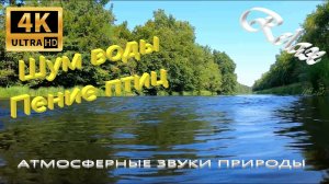 4K⚜️ Звуки природы, пение птиц, Звуки Леса, для релаксации, сна, Медитации, Relax 5 часов