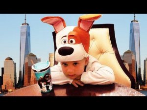 ★ Макс и Отель в Нью Йорке Влог Тайная жизнь животных The Secret Life of Pets Макс в Америке  Vlog