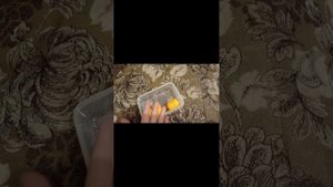 БЛОПТОП=Я И ХРЕНОБУС говорят пельмени ????
