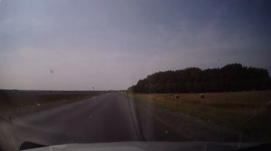 Дорога р-176  Вятка Котельнич - Яранск Кировская область