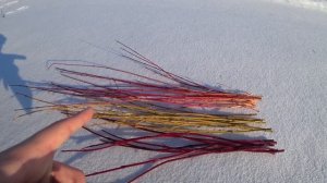 Удивительная живая изгородь, декоративная зимой!