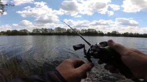 Bait Breath T. T. Shad небольшой обзор .