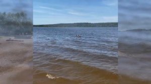 Конаково  Пляж