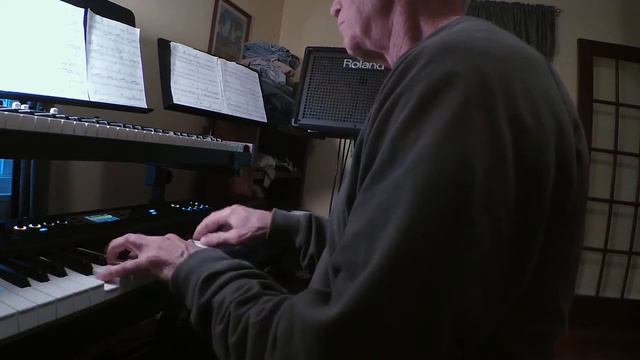 ZOOM0201 Tiny Dancer by Elton John played on Numa X piano by Mike Lupinetti смотреть онлайн