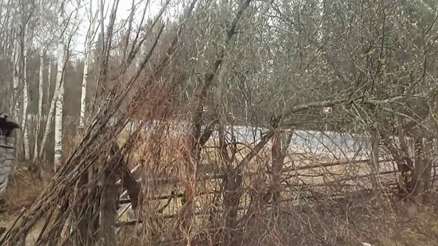 дождь с мокрым снегом в деревне смотреть онлайн