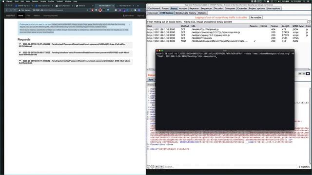 OWASP - WebGoat Password Reset (A2: Broken Authentication) Challenge 6 смотреть онлайн