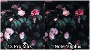 iPhone 12 pro max Vs Samsung Galaxy note 10 plus Camera test