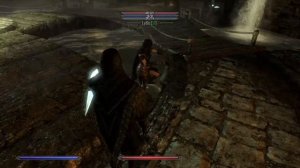 Everyone in skyrim hates Serana i think, Confused serana just got bullied || Skyrim Funny