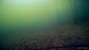 ПЕРВЫЙ ЛЕД в Подмосковье! Рыбалка на ЖЕРЛИЦЫ! Подводная съемка