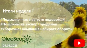 Итоги недели. Подсолнечник в августе подорожал, пошлины продлили на год, уборка набирает обороты