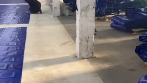 Производство пологов и тентов