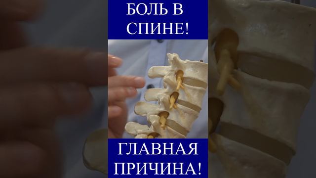 БОЛЬ В СПИНЕ!? ГЛАВНАЯ ПРИЧИНА!