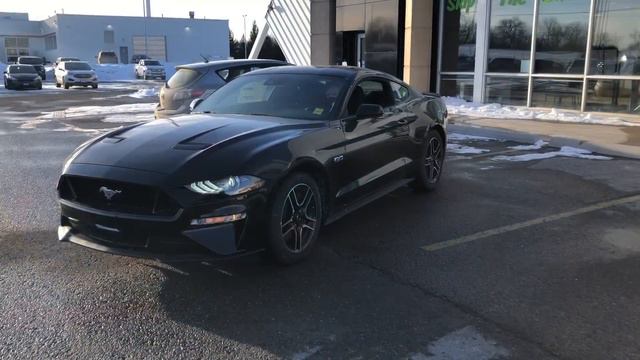 2021 Mustang Burnout at the Dealership?! смотреть онлайн