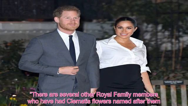 Meghan Fashion - Meghan Markle HONOURED: Duchess to receive THIS tribute just like Kate and Prince смотреть онлайн