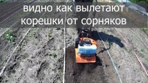 Мини мото культиватор в реальной работе.