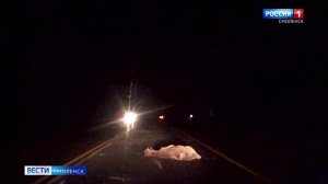 Смолян предупреждают о выходе диких животных на трассы