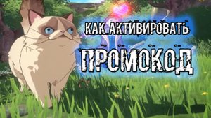 Ni no Kuni: Cross Worlds как активировать промокод. Как активировать промокоды с ПК