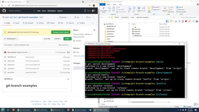 The GitHub Branch Explained and Demystified