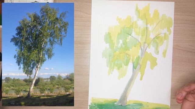 Как нарисовать березу смотреть онлайн