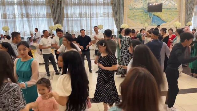 Туй Новосибирск 30.07.2023 смотреть онлайн