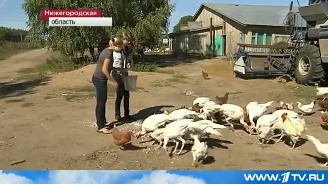 семья романцовых