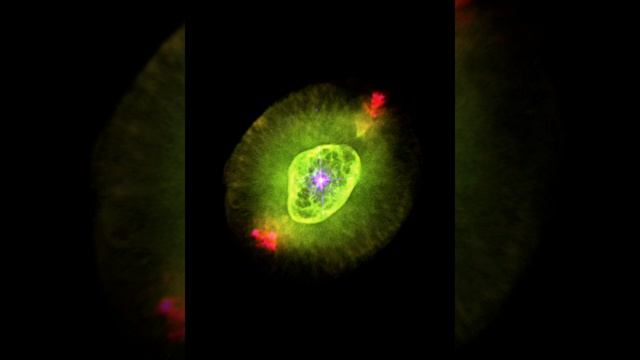 Планетарная туманность NGC 6826, является результатом гибели звезды. Очень похожа на глаз человека. смотреть онлайн