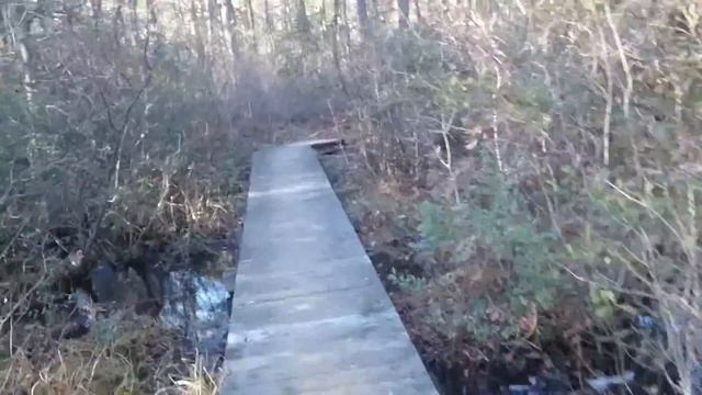 Forest Trail Slalom - Feb 6, 2017 смотреть онлайн